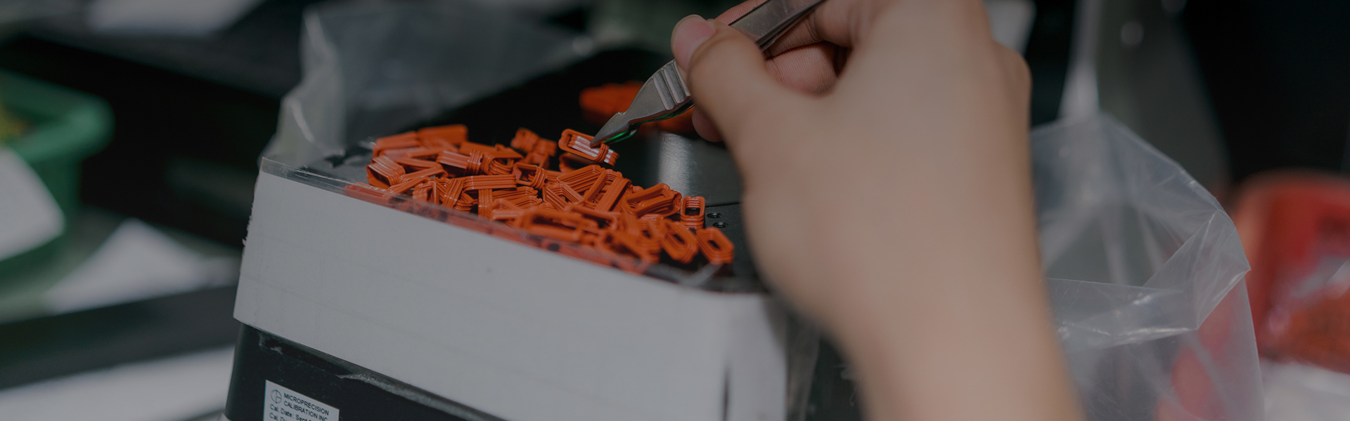 unsplash_MP0bgaS_d1c (1)